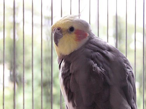 2010-09-11a