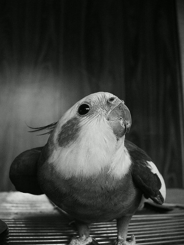 2007-07-31a